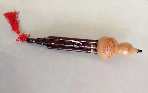 中国传统管乐器有