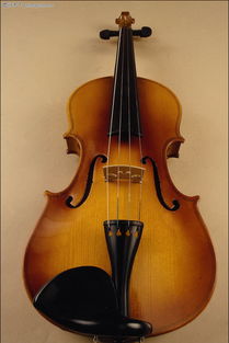 提琴制作系